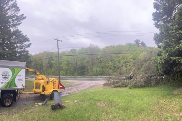 Camion et broyeur pour service d'élagage d'arbres.