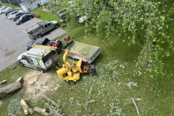 Camion avec déchiqueteuse coupant des arbres.