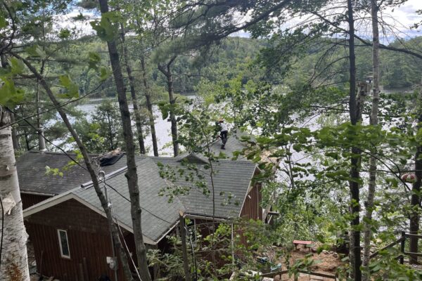 Maison en bois près d'un lac et forêt