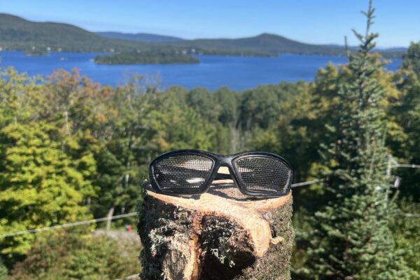 Lunettes sur tronc d'arbre, lac et montagnes.