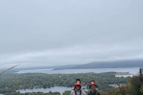 Travaux d'entretien sur une colline boisée.
