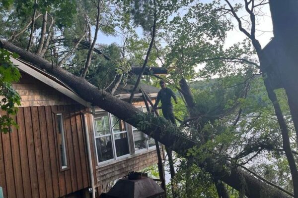 Arbre tombé sur maison au bord du lac.