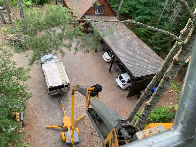 Vue aérienne de travaux d'élagage près d'une maison