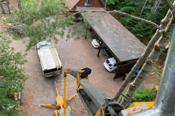 Vue aérienne de travaux d'élagage près d'une maison.