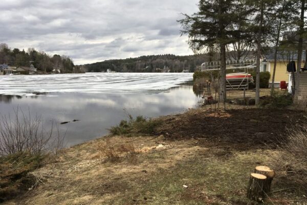 Lac gelé entouré de forêts sous ciel nuageux.