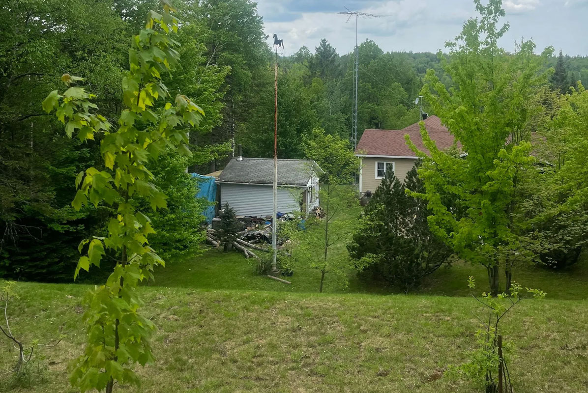 Maisons entourées d'arbres dans un paysage rural.