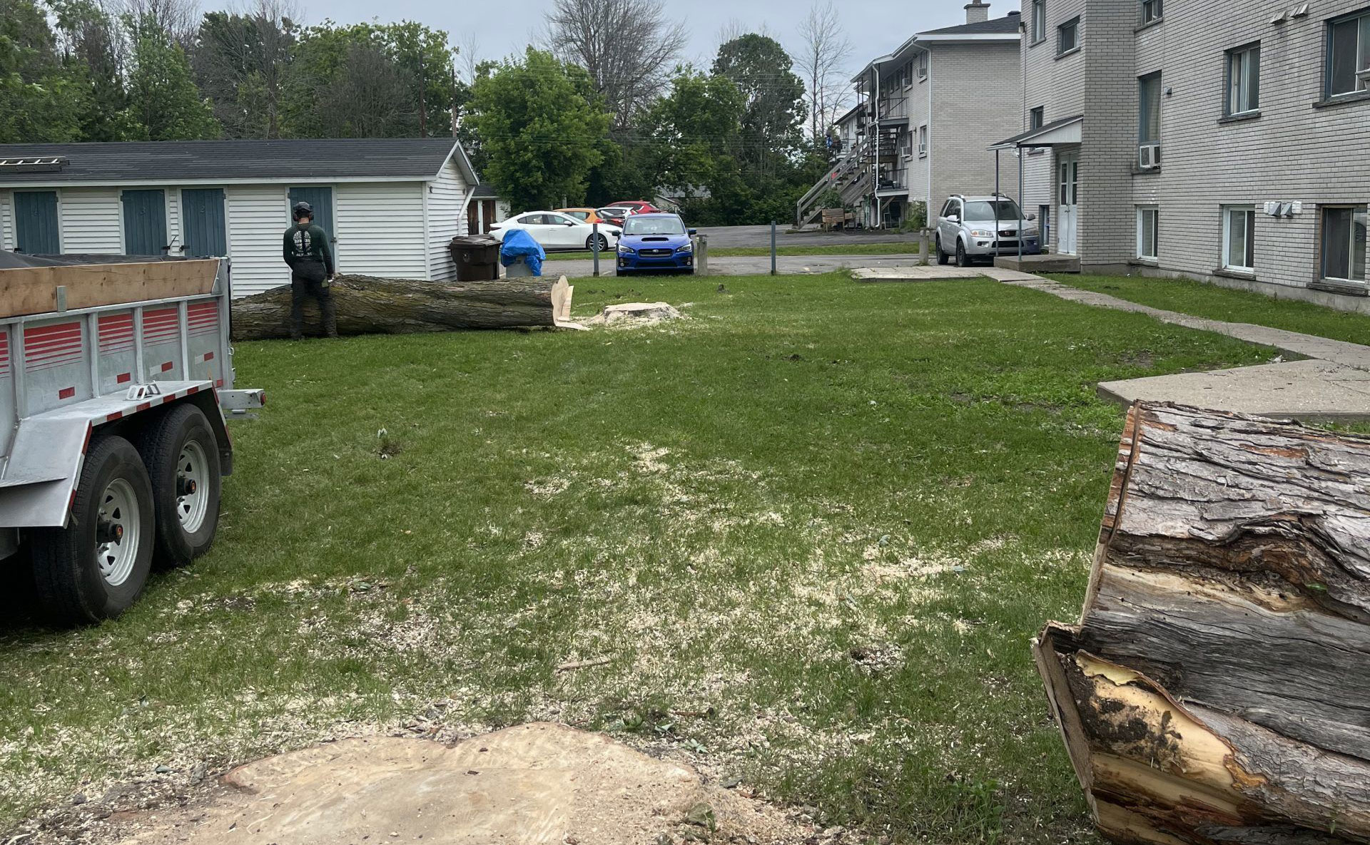Abattage d'un arbre sur un terrain résidentiel.